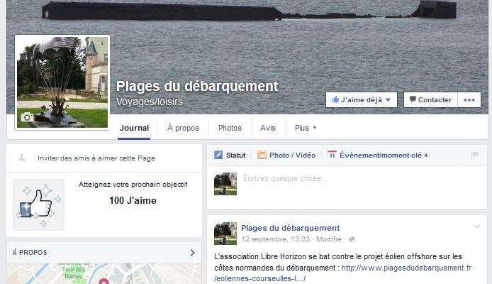 page fan Facebook